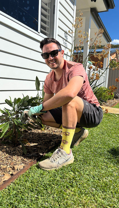 Tick-Repellent Socks (4-Pack)