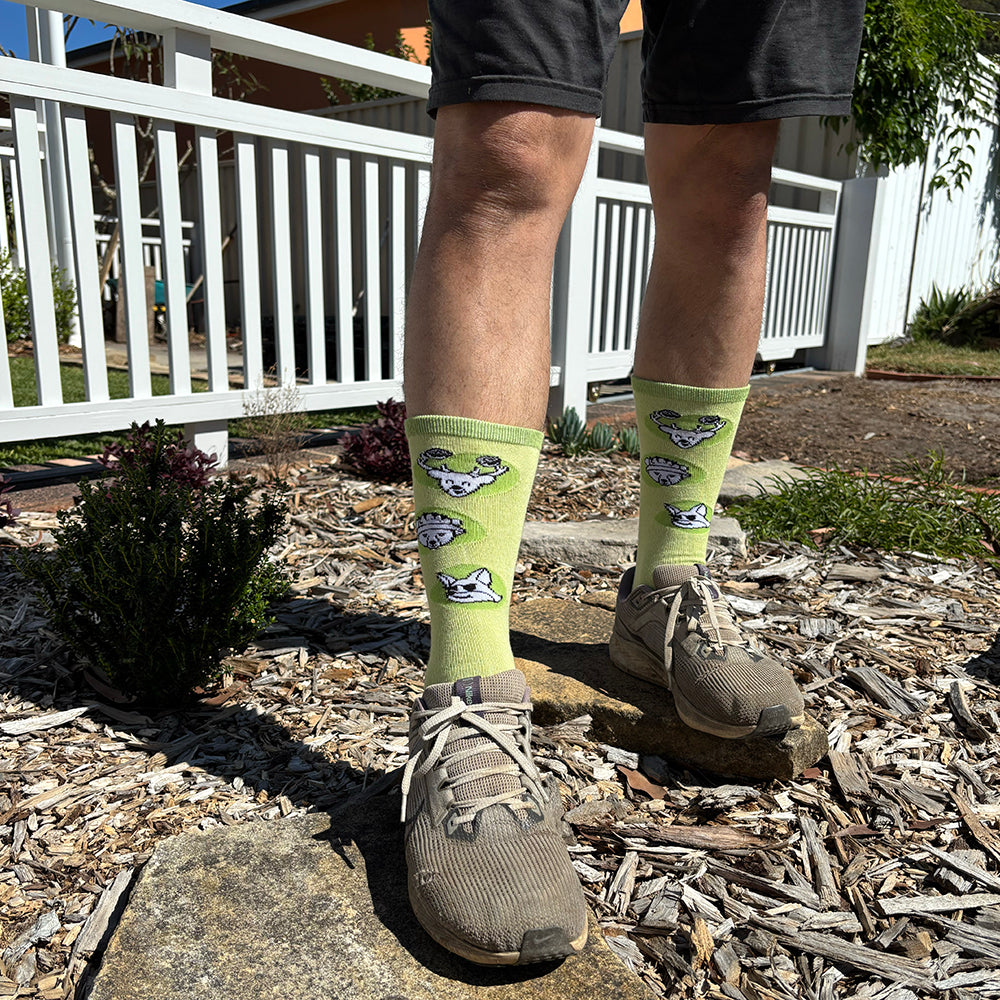 Tick Socks